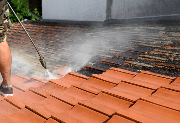 Best Commercial Building Pressure Washing  in Ricardo, TX