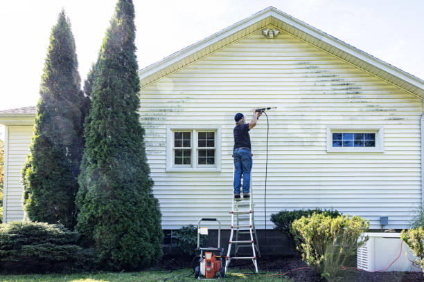 Best Concrete Pressure Washing  in Ricardo, TX