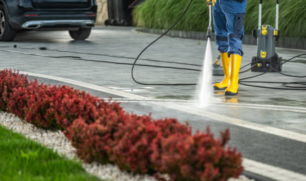 Best Pressure Washing Estimates  in Ricardo, TX