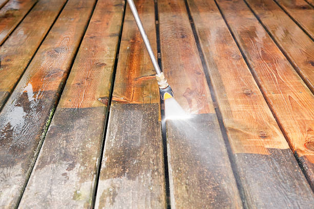 Best Roof Pressure Washing  in Ricardo, TX