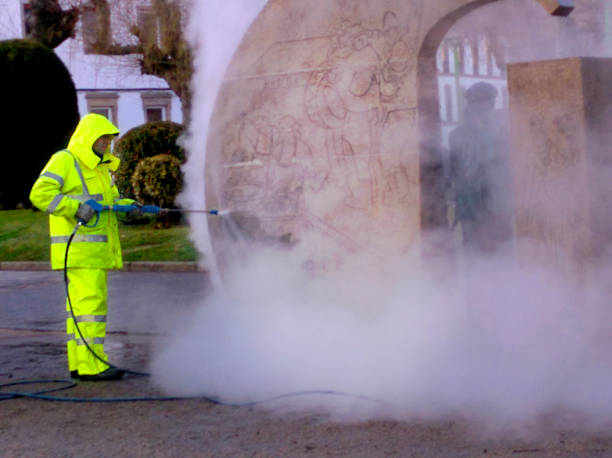 Best Pressure Washing Company Near Me  in Ricardo, TX