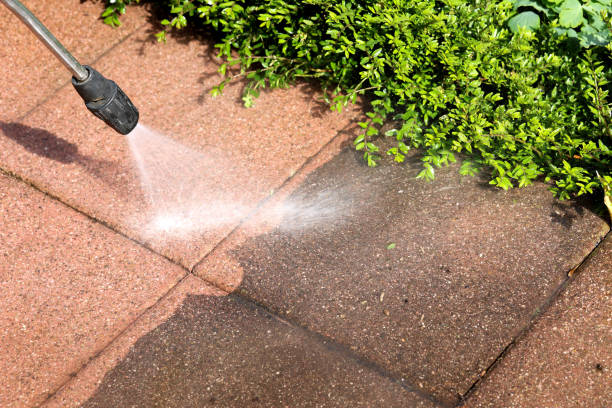 Best Affordable Power Washing  in Ricardo, TX